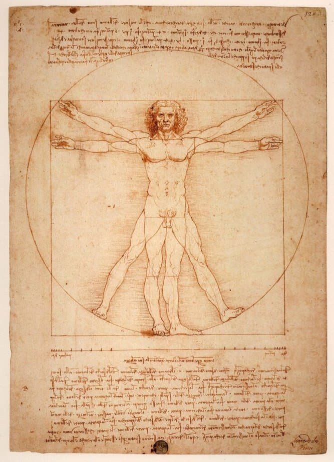 Vitruvian Man