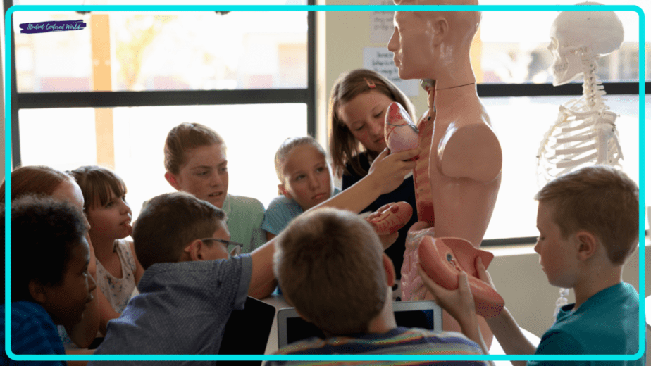 students working with science dummy whole brain teaching